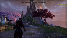 Elder Scrolls Online